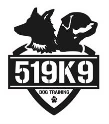 519K9
