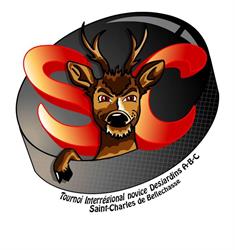 Tournoi interrégional novice Desjardins