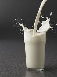 Borealis Dairy Farm