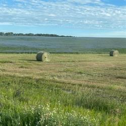 Admiral Grain Co.