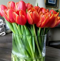 Flowers at the Market