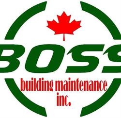 Boss BMI