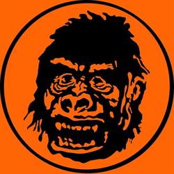 Orange Monkey Music