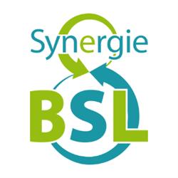 Synergie Bas-St-Laurent
