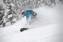 Revelstoke Real Estate