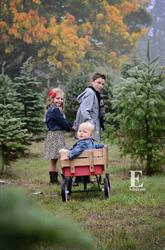 Gogo's Christmas Tree Farm