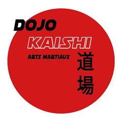 Dojo Kaishi