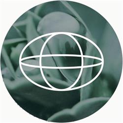 New Earth Wellness