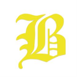 Bethel Insurance Brokers Inc.