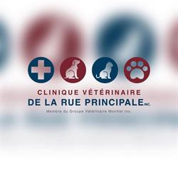 Clinique Vétérinaire de la Rue Principale