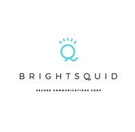 Brightsquid