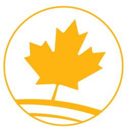 Golden Hills international school