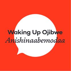 Anishinaabemodaa - Waking Up Ojibwe