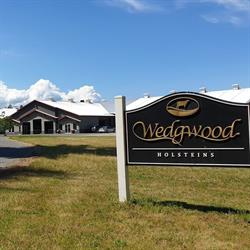 Stanhope-Wedgwood