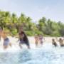 Plan your next trip to the Caribbean! Plan your next trip to the Caribbean!