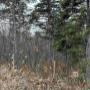 2225 Dodge Road, Margaretsville, Nova Scotia, B0S1P0 2225 Dodge Road, Margaretsville, Nova Scotia, B0S1P0