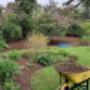 Protect your soil and your plants with our mulching services. Protect your soil and your plants with our mulching services.