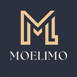 Moelimo Limousine & Livery Service