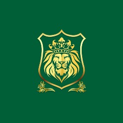 Lion Shield Financial