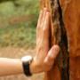 A hand touching a tree bark, symbolizing a connection to nature and sustainable skincare values. A hand touching a tree bark, symbolizing a connection to nature and sustainable skincare values.