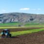 A scenic landscape showcasing eco-friendly farming practices, emphasizing sustainable ingredient sourcing for Animal Acid products. A scenic landscape showcasing eco-friendly farming practices, emphasizing sustainable ingredient sourcing for Animal Acid products.