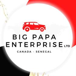BIG PAPA entreprise ltd sarl