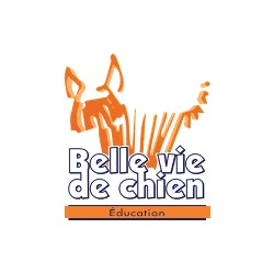 Belle vie de chien