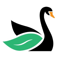 Black Swan Landscaping, Lawn Sprinklers & Lighting
