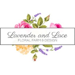 Lavender and Lace