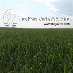Pres Verts MB Ltee