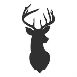 Neck of the Woods Massage & Wellness