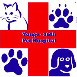 Yonge 16th Animal Hospital