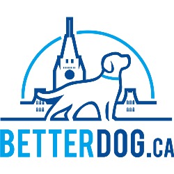 BetterDog In-Home Dog Training