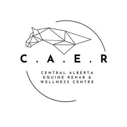 Central Alberta Equine Rehab & Wellness Centre