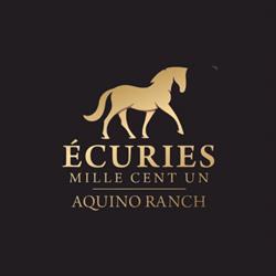 Écuries 1101
