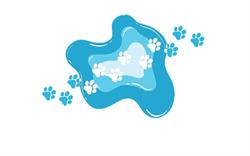 Puddle Paws Canine Hydrotherapy