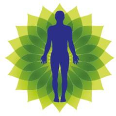 Clinique Chiropratique Vision Santé, Dr Hani Karout Chiropraticien
