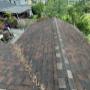 Gutter cleaning Vancouver
Moss removal Vancouver
Roof cleaning Vancouver
Soft wash Vancouver
Skylight cleaning Vancouver
Solar panel cleaning Vancouver
Gutter cleaning Burnaby
Moss removal Burnaby
Roof cleaning Burnaby
Soft wash Burnaby
Skylight clea Gutter cleaning Vancouver
Moss removal Vancouver
Roof cleaning Vancouver
Soft wash Vancouver
Skylight cleaning Vancouver
Solar panel cleaning Vancouver
Gutter cleaning Burnaby
Moss removal Burnaby
Roof cleaning Burnaby
Soft wash Burnaby
Skylight clea