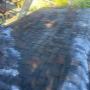 Moss and Gutter debris build-up is no match for the Ridge Runners. (604) 449-0312 Moss and Gutter debris build-up is no match for the Ridge Runners. (604) 449-0312