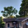 Gutter cleaning Vancouver
Moss removal Vancouver
Roof cleaning Vancouver
Soft wash Vancouver
Skylight cleaning Vancouver
Solar panel cleaning Vancouver
Gutter cleaning Burnaby
Moss removal Burnaby
Roof cleaning Burnaby
Soft wash Burnaby
Skylight clea Gutter cleaning Vancouver
Moss removal Vancouver
Roof cleaning Vancouver
Soft wash Vancouver
Skylight cleaning Vancouver
Solar panel cleaning Vancouver
Gutter cleaning Burnaby
Moss removal Burnaby
Roof cleaning Burnaby
Soft wash Burnaby
Skylight clea