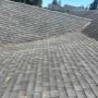 Gutter cleaning Vancouver
Moss removal Vancouver
Roof cleaning Vancouver
Soft wash Vancouver
Skylight cleaning Vancouver
Solar panel cleaning Vancouver
Gutter cleaning Burnaby
Moss removal Burnaby
Roof cleaning Burnaby
Soft wash Burnaby
Skylight clea Gutter cleaning Vancouver
Moss removal Vancouver
Roof cleaning Vancouver
Soft wash Vancouver
Skylight cleaning Vancouver
Solar panel cleaning Vancouver
Gutter cleaning Burnaby
Moss removal Burnaby
Roof cleaning Burnaby
Soft wash Burnaby
Skylight clea