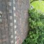 Gutter cleaning Vancouver
Moss removal Vancouver
Roof cleaning Vancouver
Soft wash Vancouver
Skylight cleaning Vancouver
Solar panel cleaning Vancouver
Gutter cleaning Burnaby
Moss removal Burnaby
Roof cleaning Burnaby
Soft wash Burnaby
Skylight clea Gutter cleaning Vancouver
Moss removal Vancouver
Roof cleaning Vancouver
Soft wash Vancouver
Skylight cleaning Vancouver
Solar panel cleaning Vancouver
Gutter cleaning Burnaby
Moss removal Burnaby
Roof cleaning Burnaby
Soft wash Burnaby
Skylight clea
