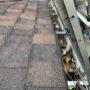 Gutter cleaning Vancouver
Moss removal Vancouver
Roof cleaning Vancouver
Soft wash Vancouver
Skylight cleaning Vancouver
Solar panel cleaning Vancouver
Gutter cleaning Burnaby
Moss removal Burnaby
Roof cleaning Burnaby
Soft wash Burnaby
Skylight clea Gutter cleaning Vancouver
Moss removal Vancouver
Roof cleaning Vancouver
Soft wash Vancouver
Skylight cleaning Vancouver
Solar panel cleaning Vancouver
Gutter cleaning Burnaby
Moss removal Burnaby
Roof cleaning Burnaby
Soft wash Burnaby
Skylight clea
