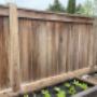 Call us for regular fence cleaning using our safe and eco-friendly soft wash method. Call us for regular fence cleaning using our safe and eco-friendly soft wash method.