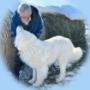 our newest addition to our breeding program - Future sire-Switchback Sumo with Noel our newest addition to our breeding program - Future sire-Switchback Sumo with Noel