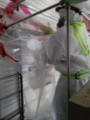 Asbestos Glove Bag Asbestos Glove Bag