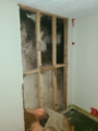 Black Mold Removal Black Mold Removal