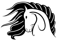 Horse'n Around
