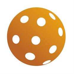 Pickleball Superstore