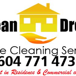 Crystal Clean Dream Team